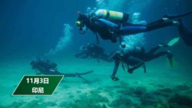 【中医药园地】睡不着？容易醒？5种食物、4个技巧，安神又助眠